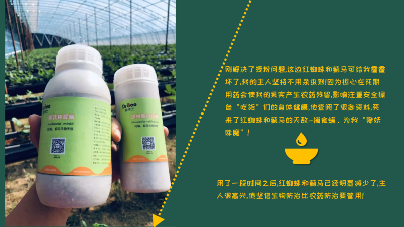 生物防治，丽蚜小蜂，白粉虱，寄生蜂，温室白粉虱，粉虱，捕食螨，加州新小绥螨，斯氏钝绥螨，叶螨，红蜘蛛，螨害，嘉禾源硕，蜂博士，Drbee蜂博士