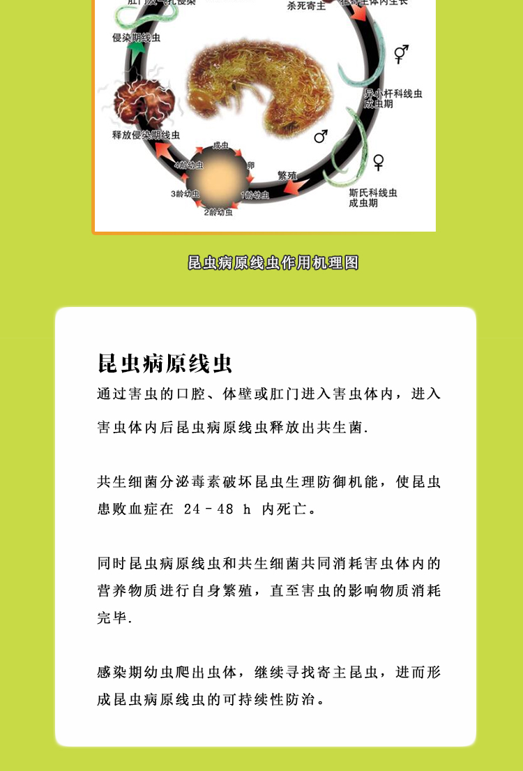 HR-SC-_05.jpg