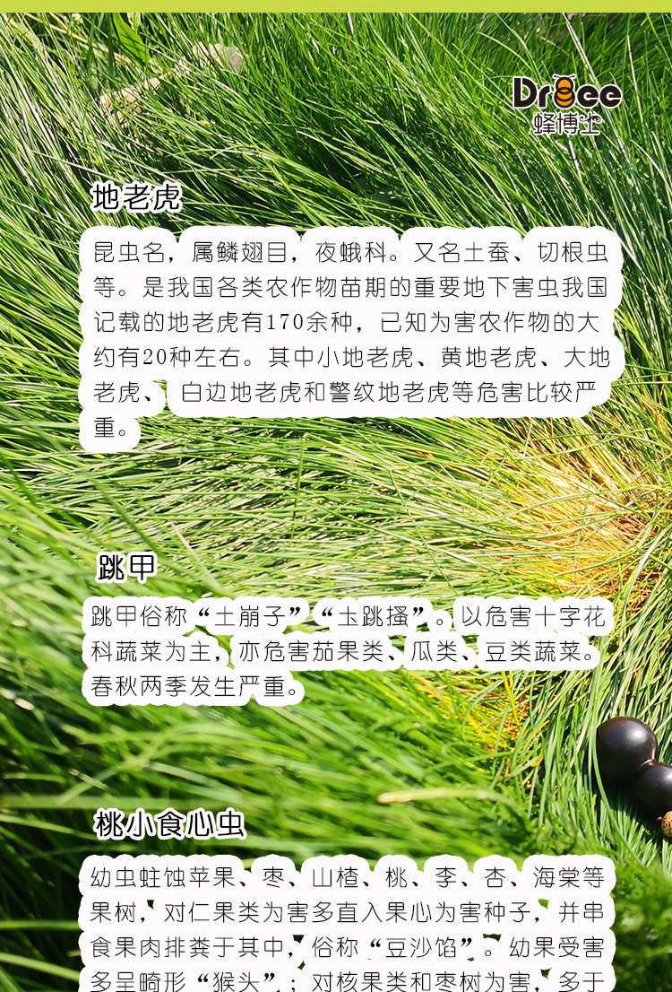 HR-SC-_06.jpg
