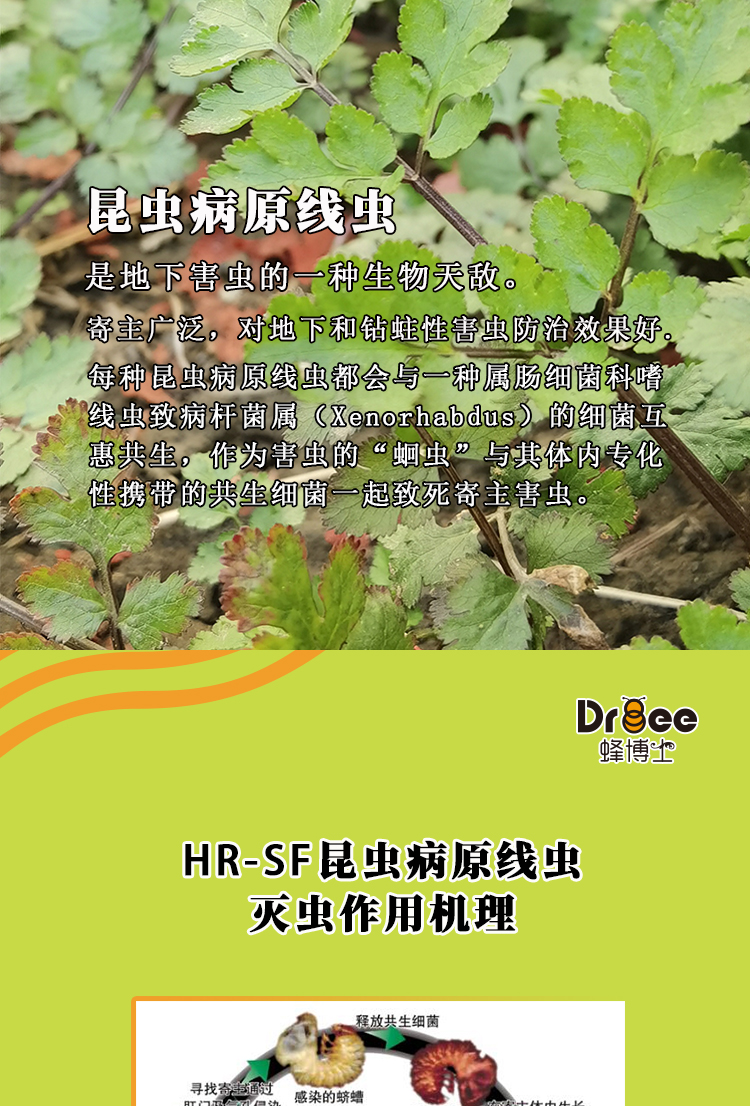 HR-SC-_04.jpg