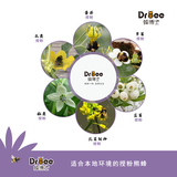 DRBEE蜂博士授粉熊蜂 番茄草莓蓝莓熊蜂授粉 熊蜂蜂箱